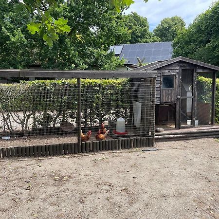Villa Completely Renovated Back Part Of A Farm Uden Exterior foto